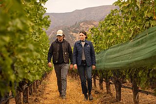 Zwei laufende Personen auf dem Weinfeld Eisele Vineyard Winzer:in zwischen Weinreben auf dem Weinfeld