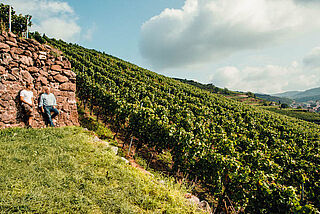 Winzer Franz Keller im Weinberg