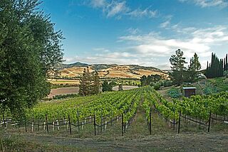 Weingut von Au Bon Climat