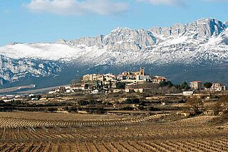 Bodegas Artadi – Laguardia