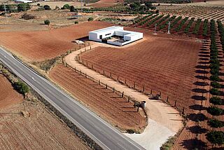 Bodegas y Vinedos Ponce Weingut inmitten von Weinberge