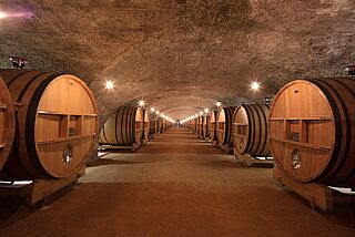 Weinkeller Chateau de la Chaize