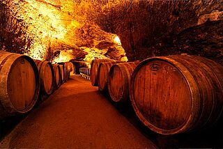 Domaine des Roches Neuves