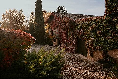 Bodegas Contino