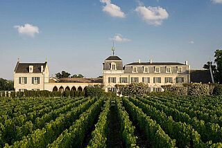 Weinfeld und Anwesen des Weingut La Mission Haut Brion