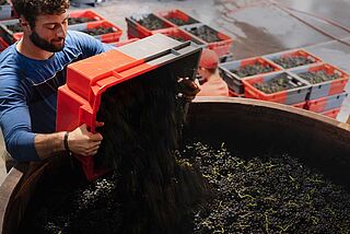 Im Weinkeller Weinberg vom Weingut Rudolf Fürst