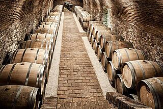 Weinfässer und Weinkeller Wieninger