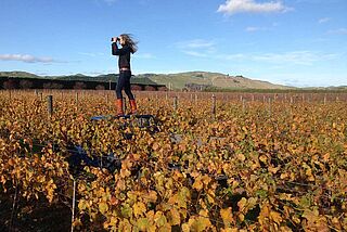 Devotus-vinbonde står på bil i vinmark og kigger i kikkert