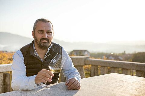 Weinlandschaft Bodegas y Vinedos Rodrigo Mendez