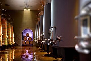 Domaine Clos du Caillou Weinkeller