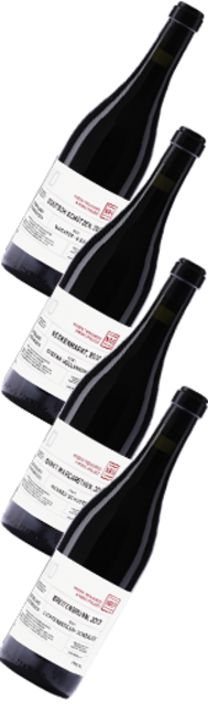HT Sammlerbox: Burgenland Blaufränkisch | 4*3 Fl. (12 Flaschen) 2017