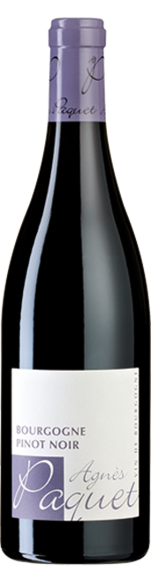 Bourgogne Pinot Noir 2020