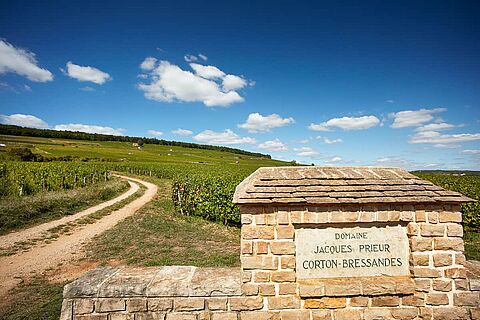 Domaines Jacques Prieur