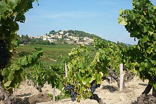 Gigondas