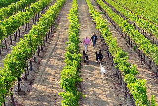 Hatton Family – Arietta