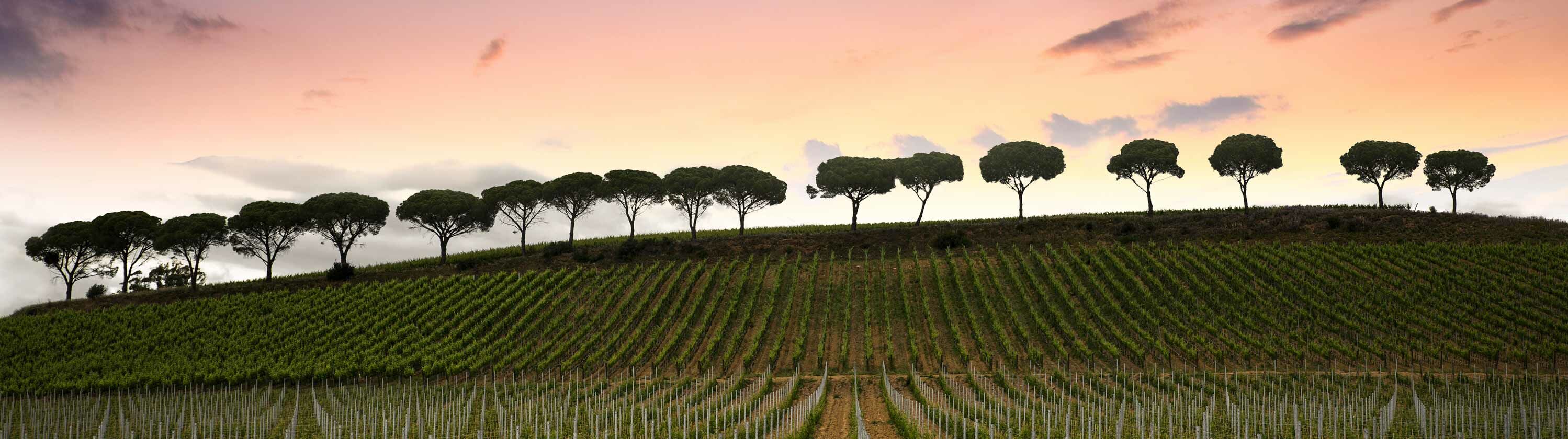 Italien