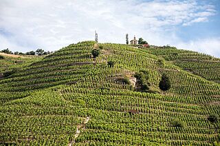 Rhone Crozes-Hermitage