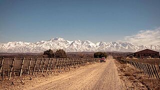 Weinlandschaft in Argentinien