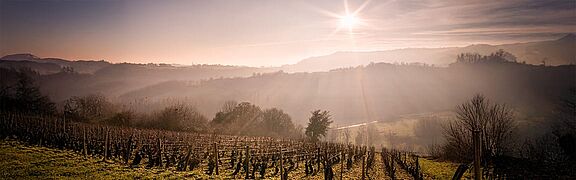 Die Landschaft der Côte de Beaune
