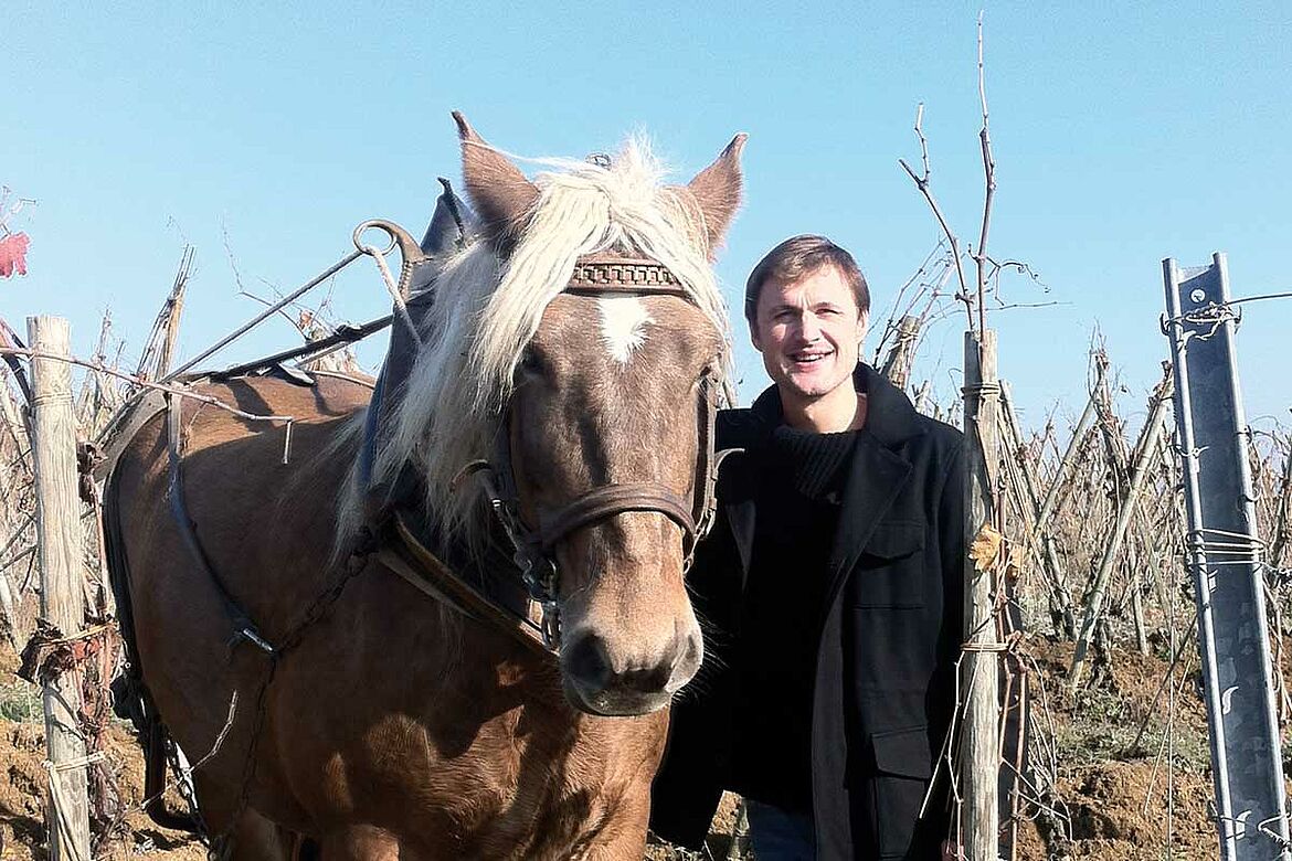 Domaine Stéphane Ogier