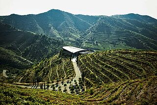 Weingut Ferrer Bobet mit Weinbergen