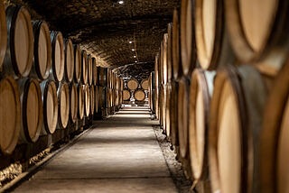 Weinlagerung bei Jean Louis Trapet