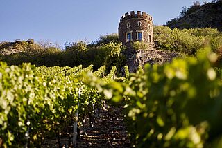 Weinberg von Dönnhoff