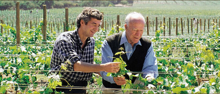 Mondavi und Eduardo Chadwick im Weinfeld