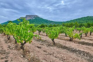 Die Landschaft Aragoniens