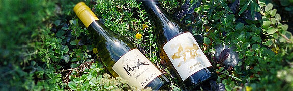 Weine in der Natur