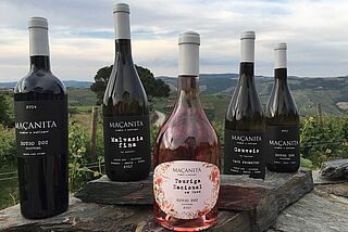 Weine von Macanita