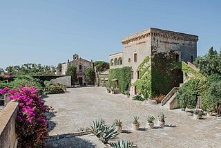 Agricole Vallone vingård