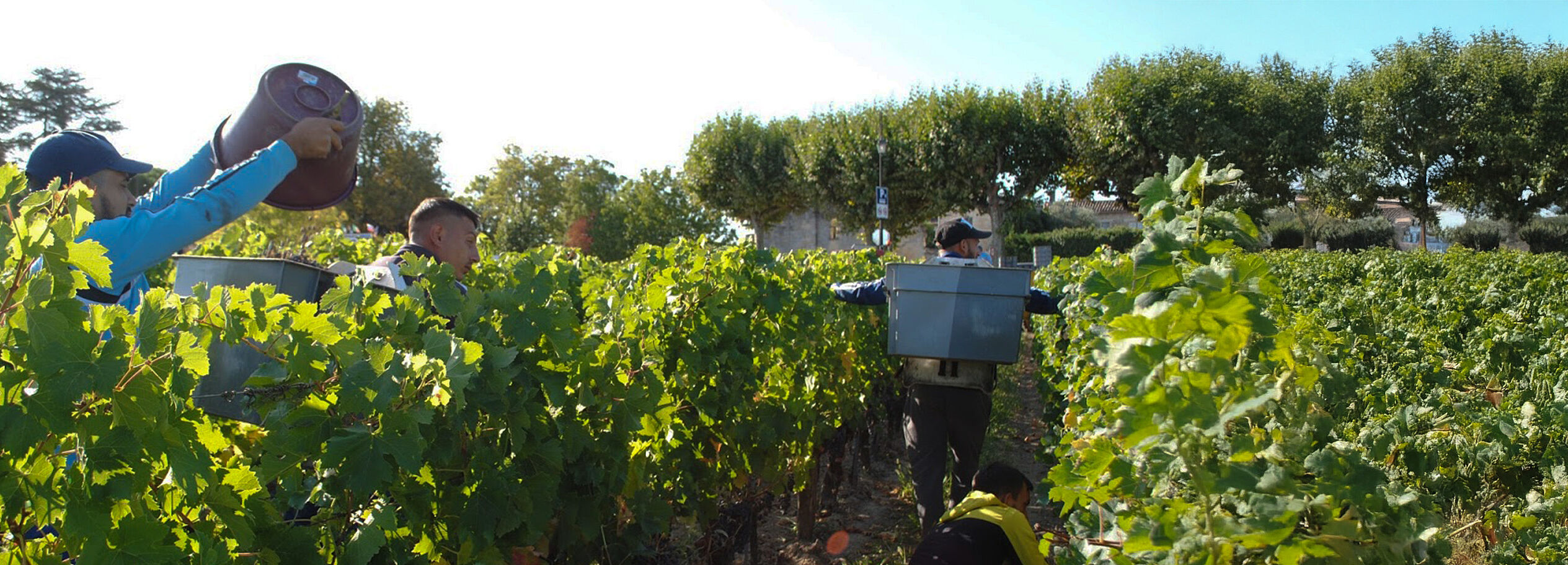 Bordeaux 2019