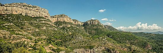 Priorat vinregion