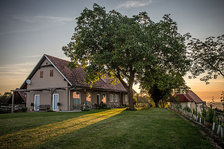 Weingut Tement