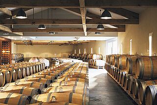 Weinkeller, Weinfässer Deyrem Valentin