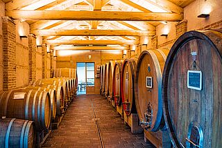 Weinkeller und Weinfässer des Weinguts Cascina Penna-Currado