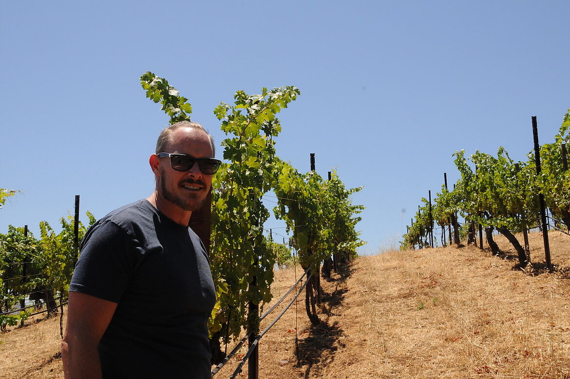 Weinberg Kalifornien Portrait