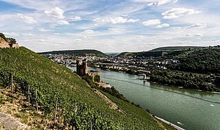 Schlossberg beim Weingut Künstler