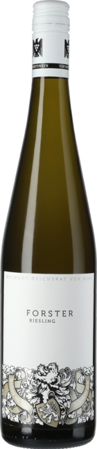 Riesling Forster Ortswein 2017