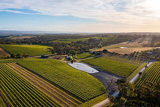 Udsigt over vinmarkerne fra oven