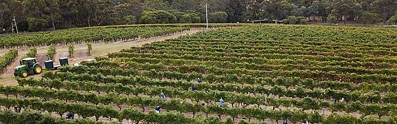 Western Australia