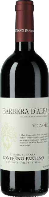 Barbera d'Alba Vignota 2020