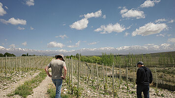 Reisebericht Argentinien & Chile 2025