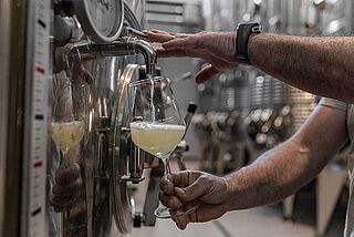 Famiglia Olivini Famiglia Olivini