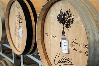 Valandrauds vinkælder