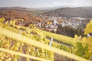 Weinberg Schäfer Fröhlich