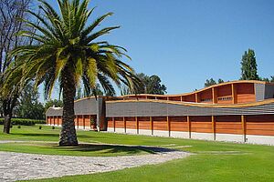 Vina Almaviva – Rothschild / Concha y Torro