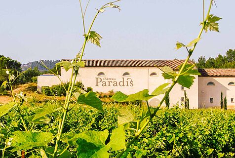 Chateau Paradis