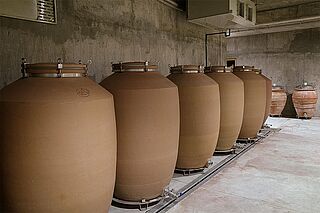 Weinfässer der Bodega Chacra